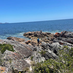 Meet your Posher, Katarina